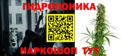 прущие крисы Апшеронск
