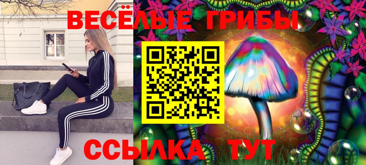 Галлюциногенные грибы Psilocybe  Галлюциногенные грибы Psilocybe  магазин продажи наркотиков  Большой Камень  Вход с VPN 