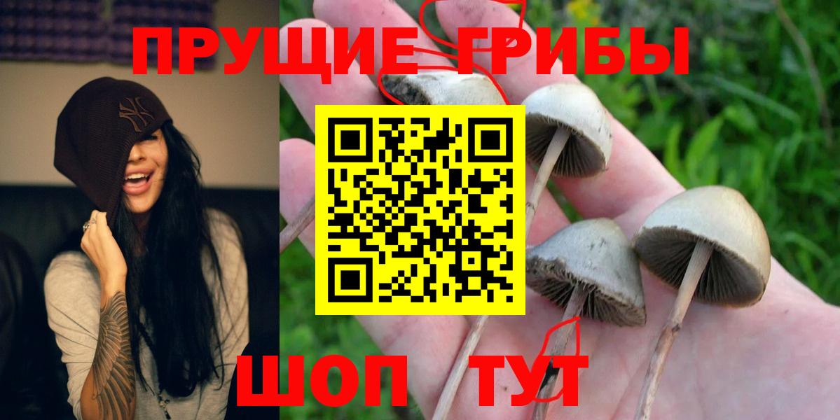 Галлюциногенные грибы ЛСД Большой Камень